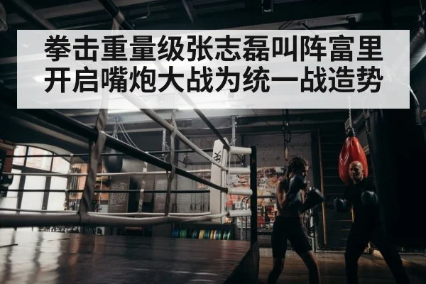 boxer training